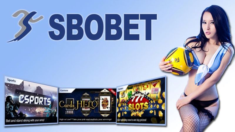 Bandar Judi Bola Sbobet Terpercaya